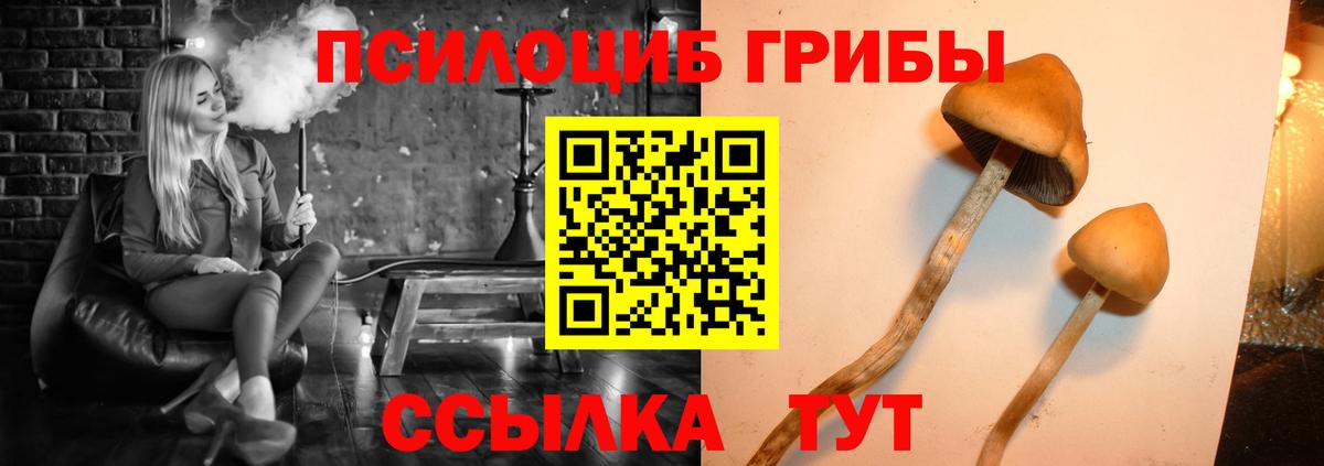 Псилоцибиновые грибы Psilocybine cubensis  Вход с VPN  Сызрань 
