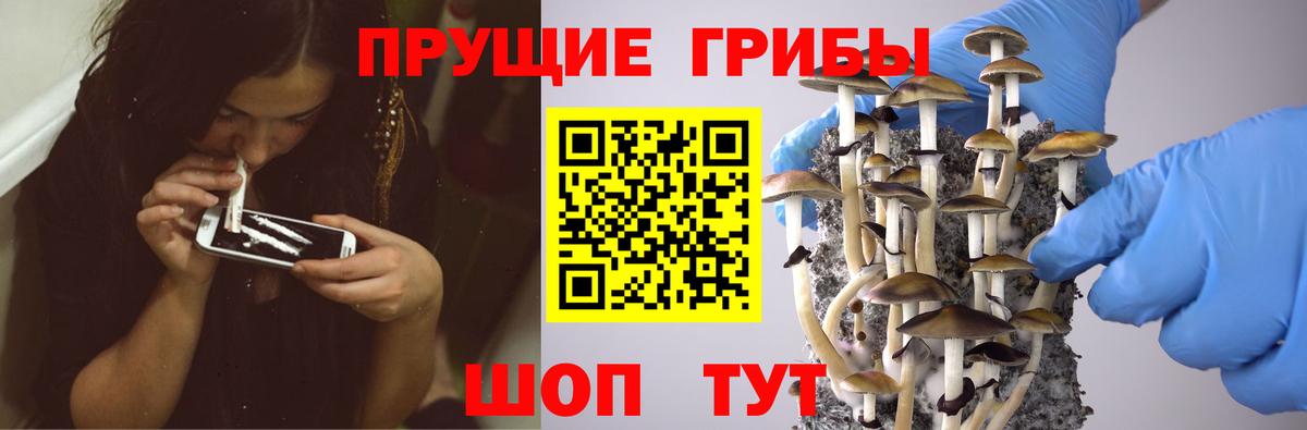 Псилоцибиновые грибы мухоморы Сызрань